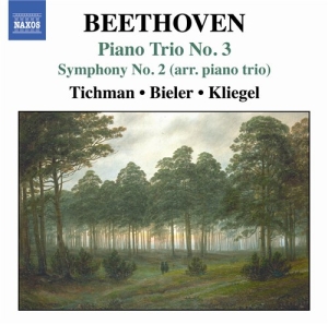 Beethoven - Piano Trio No 3 in the group OUR PICKS / Christmas gift tip CD at Bengans Skivbutik AB (515448)