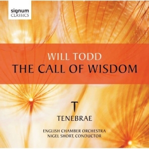 Todd - The Call Of Wisdom in the group OUR PICKS / Christmas gift tip CD at Bengans Skivbutik AB (519792)