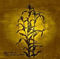 Wovenhand - Laughing Stalk in the group CD / Pop-Rock at Bengans Skivbutik AB (525602)