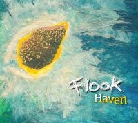 Flook - Haven in the group CD / Pop-Rock at Bengans Skivbutik AB (535535)