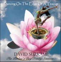 Surkamp David - Dancing On The Edge Os A Teacup in the group CD / Pop-Rock at Bengans Skivbutik AB (539469)