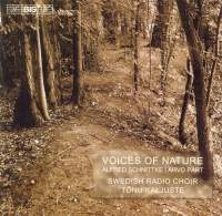 Schnittke/Pärt - Voices Of Nature in the group OUR PICKS / Christmas gift tip CD at Bengans Skivbutik AB (547257)