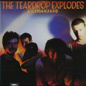 Teardrop Explodes - Kilimanjaro in the group CD / Pop at Bengans Skivbutik AB (549819)