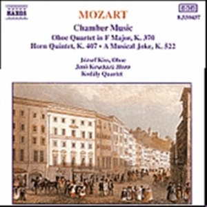 Mozart Wolfgang Amadeus - Chamber Music in the group OUR PICKS / Christmas gift tip CD at Bengans Skivbutik AB (5503215)