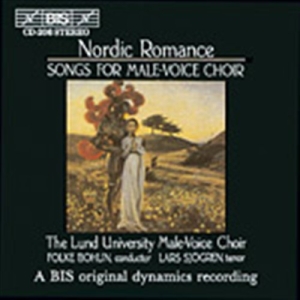 Various - Nordic Romance Male Voices in the group OUR PICKS / Christmas gift tip CD at Bengans Skivbutik AB (5503951)