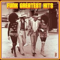 Various Artists - Funk Greatest Hits in the group OUR PICKS /  Christmas gift tip Vinyl at Bengans Skivbutik AB (5505946)