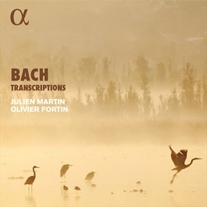 Bach Johann Sebastian - Transcriptions in the group OUR PICKS / Christmas gift tip CD at Bengans Skivbutik AB (5506032)