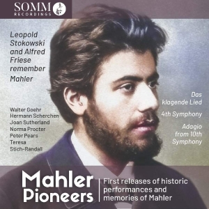 Mahler Gustav - Mahler: Pioneers in the group OUR PICKS / Christmas gift tip CD at Bengans Skivbutik AB (5506339)