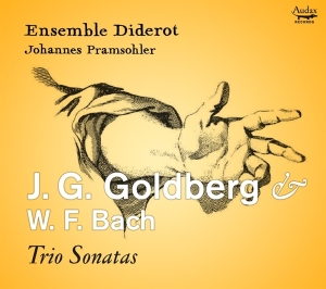 Ensemble Diderot - J.G. Goldberg & W.F. Bach: Trio Sonatas in the group OUR PICKS / Christmas gift tip CD at Bengans Skivbutik AB (5506490)