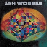 Jah Wobble Jon Klein - A Brief History Of Now in the group OUR PICKS /  Christmas gift tip Vinyl at Bengans Skivbutik AB (5507549)