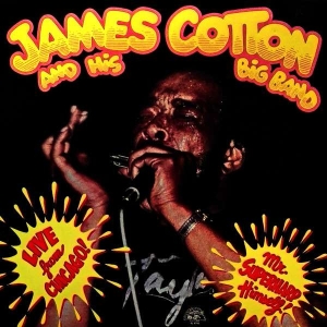 James Cotton & His Big Band - Live In Chicago - Mr. Superharp in the group Labels /  at Bengans Skivbutik AB (5508820)