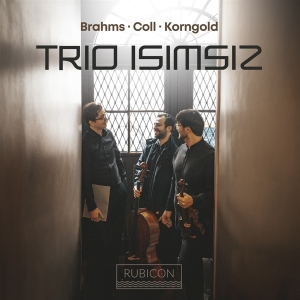 Pablo Hernan Benedi - Brahms/Korngold: Trio Isimsiz in the group OUR PICKS / Christmas gift tip CD at Bengans Skivbutik AB (5509431)