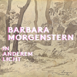 Barbara Morgenstern - In Anderem Licht in the group CD / Pop-Rock at Bengans Skivbutik AB (5509666)