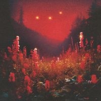 Silent Planet - Superbloom in the group VINYL / Hårdrock at Bengans Skivbutik AB (5509939)