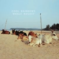 Cool Rainbows - Whale Rocket in the group VINYL / Pop-Rock at Bengans Skivbutik AB (5510891)