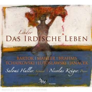 Salome Haller - Earthly Life - Lieder in the group OUR PICKS / Christmas gift tip CD at Bengans Skivbutik AB (5511473)