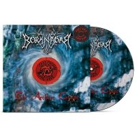 Borknagar - Archaic Course The (Picture Disc Vi in the group VINYL / Hårdrock at Bengans Skivbutik AB (5512133)