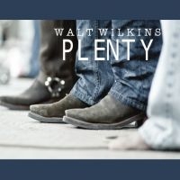 Wilkins Walt - Plenty in the group CD / Country at Bengans Skivbutik AB (5513601)