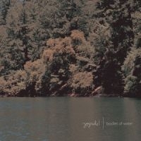 Joyride! - Bodies Of Water in the group VINYL / Pop-Rock at Bengans Skivbutik AB (5513608)