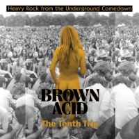 Various Artists - Brown Acid - The Tenth Trip in the group VINYL / Pop-Rock at Bengans Skivbutik AB (5514698)