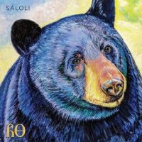 Saloli - Canyon in the group VINYL / Pop-Rock at Bengans Skivbutik AB (5514770)