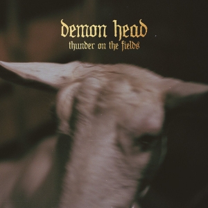 Demon Head - Thunder On The Fields Lp Gold in the group OTHER / CDV06 at Bengans Skivbutik AB (5515229)
