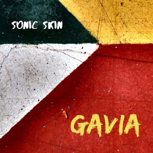 Sonic Skin - Gavia in the group OUR PICKS / Christmas gift tip CD at Bengans Skivbutik AB (5515311)