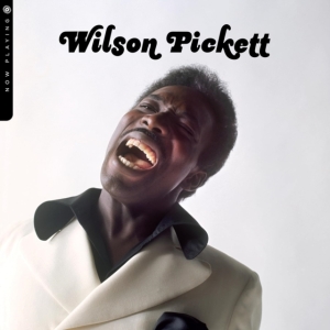 Wilson Pickett - Now Playing in the group OUR PICKS /  Christmas gift tip Vinyl at Bengans Skivbutik AB (5518546)