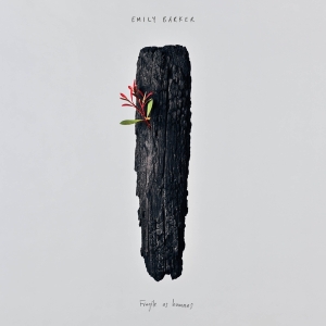 Emily Barker - Fragile As Humans in the group OUR PICKS /  Christmas gift tip Vinyl at Bengans Skivbutik AB (5520164)