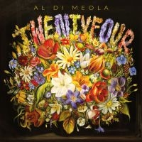 Al Di Meola - Twentyfour in the group VINYL / Pop-Rock at Bengans Skivbutik AB (5521554)