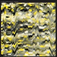 White Jim And Marisa Anderson - Swallowtail (Indie Exclusive, Trans in the group OUR PICKS /  Christmas gift tip Vinyl at Bengans Skivbutik AB (5521676)