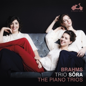 Johannes Brahms - The Piano Trios in the group OUR PICKS / Christmas gift tip CD at Bengans Skivbutik AB (5522143)