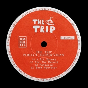 The Trip - Perfect Moderation in the group VINYL / Elektroniskt at Bengans Skivbutik AB (5522935)