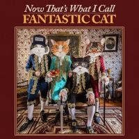 Fantastic Cat - Now That's What I Call Fantastic Ca in the group OUR PICKS / Friday Releases / Friday the 7th June 2024 at Bengans Skivbutik AB (5524073)