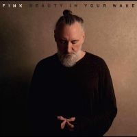 Fink - Beauty In Your Wake in the group OUR PICKS / Friday Releases / Friday the 5th July at Bengans Skivbutik AB (5525977)