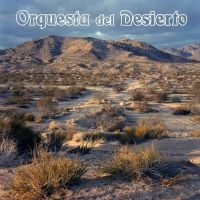 Orquesta Del Desierto - Orquesta Del Desierto (Orange Vinyl in the group OUR PICKS / Friday Releases / Friday the 31st of May 2024 at Bengans Skivbutik AB (5535796)