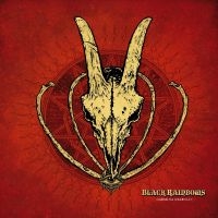 Black Rainbows - Carmina Diabolo in the group OUR PICKS / Frontpage - CD New & Forthcoming at Bengans Skivbutik AB (5535806)