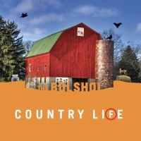 The Bolshoi - Country Life (Green Vinyl & Orange in the group VINYL / Pop-Rock at Bengans Skivbutik AB (5537164)