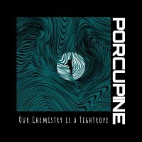 Porcupine - Our Chemistry Is A Tightrope in the group VINYL / Pop-Rock at Bengans Skivbutik AB (5538946)