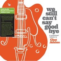 We Still Can't Say Goodbye: A Music - We Still Can't Say Goodbye: A Music in the group VINYL / Pop-Rock at Bengans Skivbutik AB (5538978)