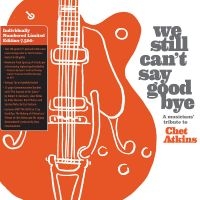 We Still Can't Say Goodbye: A Music - We Still Can't Say Goodbye: A Music in the group VINYL / Pop-Rock at Bengans Skivbutik AB (5538979)