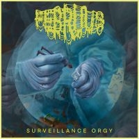 Februus - Surveillance Orgy (Digipack) in the group OUR PICKS / Christmas gift tip CD at Bengans Skivbutik AB (5539502)