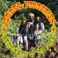 Israel Vibration - Strength Of My Life in the group OUR PICKS / Friday Releases / Friday the 7th June 2024 at Bengans Skivbutik AB (5539603)