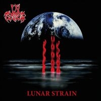 In Flames - Lunar Strain in the group OUR PICKS /  Christmas gift tip Vinyl at Bengans Skivbutik AB (5539840)