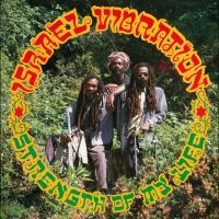 Israel Vibration - Strength Of My Life in the group OUR PICKS / Friday Releases / Friday the 7th June 2024 at Bengans Skivbutik AB (5540168)