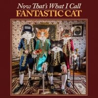 Fantastic Cat - Now That's What I Call Fantastic Ca in the group OUR PICKS / Friday Releases / Friday the 11th october 2024 at Bengans Skivbutik AB (5540189)