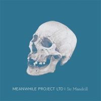 Meanwhile Project Ltd - Sir Mandrill in the group VINYL / Pop-Rock at Bengans Skivbutik AB (5548970)