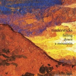 Tindersticks - Falling Down A Mountain in the group Minishops / Tindersticks at Bengans Skivbutik AB (555449)
