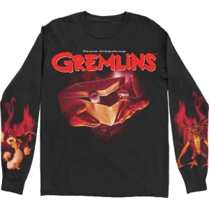 Warner Bros - Gremlins What It Seems Bl Longsleeve  in the group MERCHANDISE / T-shirt / Film-Musikal at Bengans Skivbutik AB (5555675r)