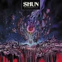 Shun - Dismantle in the group CD / Pop-Rock at Bengans Skivbutik AB (5555824)